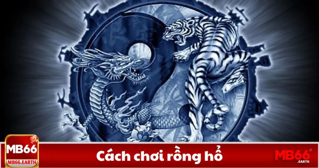 Cách Chơi Rồng Hổ - Hướng Dẫn Đặt Cược Tại MB66
