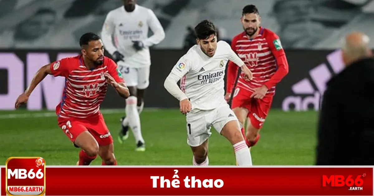 Cách đọc tỷ lệ kèo & phân tích trận đấu chính xác