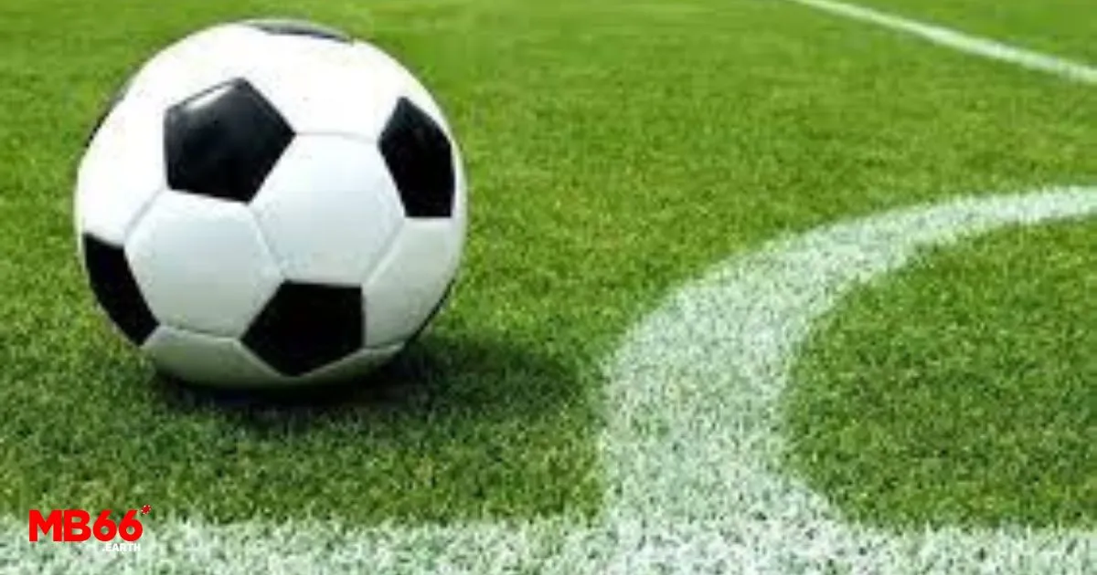 Tỷ Lệ Kèo MB66 - Cách Đọc Và Soi Kèo Hiệu Quả Nhất 4 Tỷ Lệ Kèo MB66 - Kèo Tài Xỉu - Over/Under