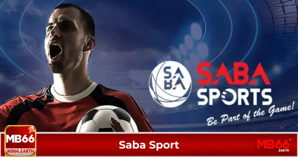 SABA Sport là gì? Tại sao được nhiều người lựa chọn?